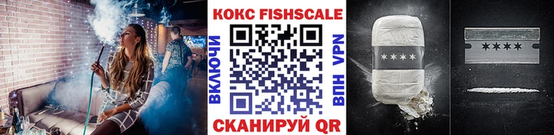 Купить где  Обь  COCAIN FishScale 
