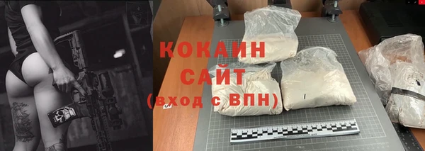 тгк Горняк