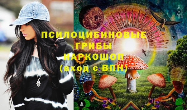 тгк Горняк
