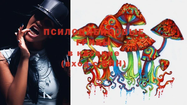 эйфоретик Вязники